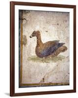 Italy, Naples, Naples National Archeological Museum, Stabiae, Villa of Arianna (15), Birds-Samuel Magal-Framed Photographic Print