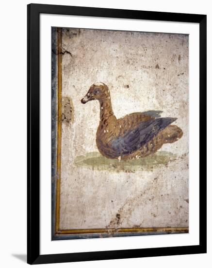 Italy, Naples, Naples National Archeological Museum, Stabiae, Villa of Arianna (15), Birds-Samuel Magal-Framed Photographic Print