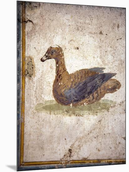 Italy, Naples, Naples National Archeological Museum, Stabiae, Villa of Arianna (15), Birds-Samuel Magal-Mounted Photographic Print