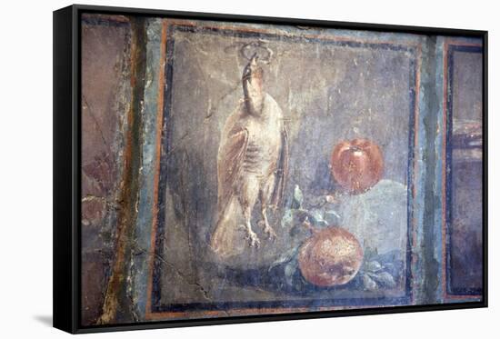 Italy, Naples, Naples National Archeological Museum, Still life with Bird and Pomegranates-Samuel Magal-Framed Stretched Canvas