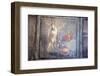 Italy, Naples, Naples National Archeological Museum, Still life with Bird and Pomegranates-Samuel Magal-Framed Photographic Print