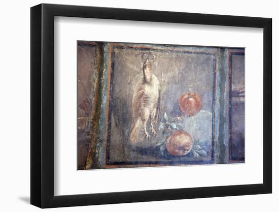 Italy, Naples, Naples National Archeological Museum, Still life with Bird and Pomegranates-Samuel Magal-Framed Photographic Print