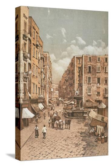 Stretched Canvas Print, , large