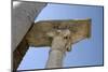 Italy, Ostia Antica, Synagogue-null-Mounted Photographic Print
