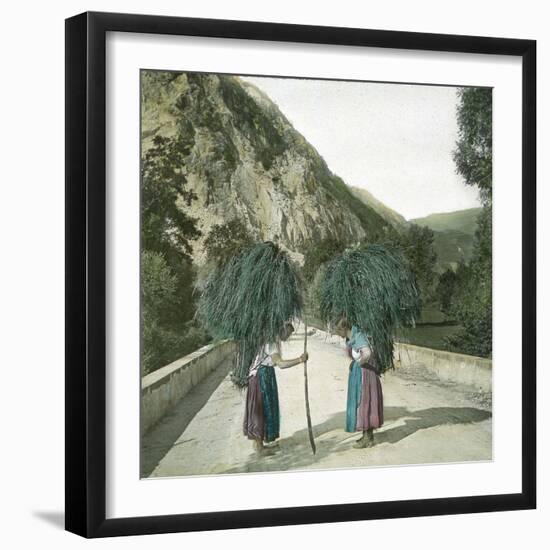 Italy, Peasant Women Returning from the Fields-Leon, Levy et Fils-Framed Photographic Print