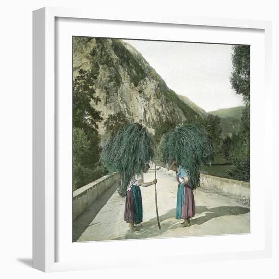 Italy, Peasant Women Returning from the Fields-Leon, Levy et Fils-Framed Photographic Print