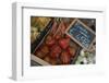 Italy, Piedmont, Alba, ripe tomatoes in an outdoor market-Alan Klehr-Framed Photographic Print