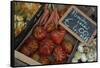 Italy, Piedmont, Alba, ripe tomatoes in an outdoor market-Alan Klehr-Framed Stretched Canvas