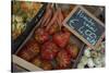 Italy, Piedmont, Alba, ripe tomatoes in an outdoor market-Alan Klehr-Stretched Canvas