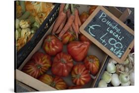 Italy, Piedmont, Alba, ripe tomatoes in an outdoor market-Alan Klehr-Stretched Canvas