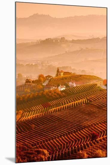 Italy, Piedmont, Cuneo District, Langhe - Autumnal Sunrise-ClickAlps-Mounted Photographic Print