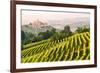 Italy, Piedmont,Cuneo district, Langhe, Castiglione Falletto, the vineyards and the castle of Casti-ClickAlps-Framed Photographic Print