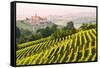 Italy, Piedmont,Cuneo district, Langhe, Castiglione Falletto, the vineyards and the castle of Casti-ClickAlps-Framed Stretched Canvas