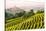 Italy, Piedmont,Cuneo district, Langhe, Castiglione Falletto, the vineyards and the castle of Casti-ClickAlps-Stretched Canvas