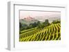 Italy, Piedmont,Cuneo district, Langhe, Castiglione Falletto, the vineyards and the castle of Casti-ClickAlps-Framed Photographic Print