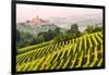 Italy, Piedmont,Cuneo district, Langhe, Castiglione Falletto, the vineyards and the castle of Casti-ClickAlps-Framed Photographic Print