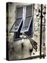 Italy, Pisa. Double windows and lamp on old building-Terry Eggers-Stretched Canvas