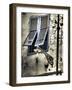 Italy, Pisa. Double windows and lamp on old building-Terry Eggers-Framed Photographic Print