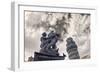 Italy, Pisa. Infrared image of the Campo dei Miracoli (field of miracles)-Terry Eggers-Framed Photographic Print