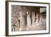 Italy, Pompeii, Necropolis of Herculaneum Gate-null-Framed Photographic Print