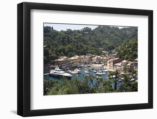 Italy, Province of Genoa, Portofino. Fishing village on the Ligurian Sea, overlooking harbor-Alan Klehr-Framed Photographic Print