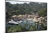 Italy, Province of Genoa, Portofino. Fishing village on the Ligurian Sea, overlooking harbor-Alan Klehr-Mounted Photographic Print