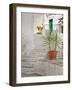 Italy, Puglia, Brindisi District, Itria Valley, Ostuni-Francesco Iacobelli-Framed Photographic Print