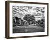 Italy, Puglia, Tivoli. Tree in the Villa Adriana-Terry Eggers-Framed Photographic Print