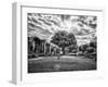 Italy, Puglia, Tivoli. Tree in the Villa Adriana-Terry Eggers-Framed Photographic Print