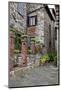 Italy, Radda in Chianti. Entrance to homes along the streets of Radda in Chianti.-Julie Eggers-Mounted Photographic Print