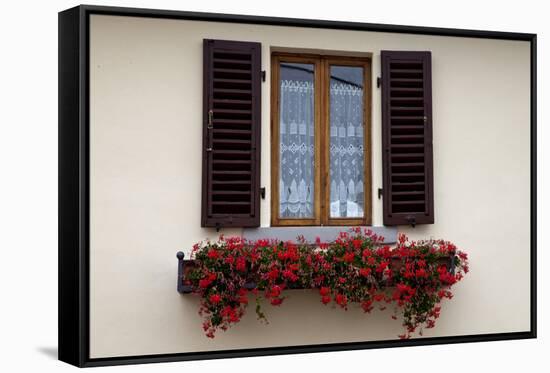 Italy, Radda in Chianti. Flower boxes with red geraniums below a window with shutters.-Julie Eggers-Framed Stretched Canvas