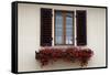 Italy, Radda in Chianti. Flower boxes with red geraniums below a window with shutters.-Julie Eggers-Framed Stretched Canvas