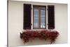 Italy, Radda in Chianti. Flower boxes with red geraniums below a window with shutters.-Julie Eggers-Stretched Canvas