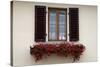 Italy, Radda in Chianti. Flower boxes with red geraniums below a window with shutters.-Julie Eggers-Stretched Canvas