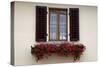 Italy, Radda in Chianti. Flower boxes with red geraniums below a window with shutters.-Julie Eggers-Stretched Canvas