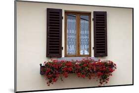 Italy, Radda in Chianti. Flower boxes with red geraniums below a window with shutters.-Julie Eggers-Mounted Photographic Print