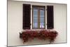 Italy, Radda in Chianti. Flower boxes with red geraniums below a window with shutters.-Julie Eggers-Mounted Photographic Print