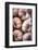 Italy, Radda in Chianti, Garlic String-Hollice Looney-Framed Photographic Print