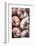 Italy, Radda in Chianti, Garlic String-Hollice Looney-Framed Photographic Print