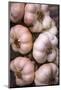 Italy, Radda in Chianti, Garlic String-Hollice Looney-Mounted Photographic Print