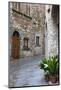 Italy, Radda in Chianti. Street view of Radda in Chianti.-Julie Eggers-Mounted Photographic Print