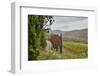 Italy, Radda in Chianti, Tuscany, A Path to the Hills, Villa Campomaggio-Hollice Looney-Framed Photographic Print