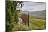 Italy, Radda in Chianti, Tuscany, A Path to the Hills, Villa Campomaggio-Hollice Looney-Mounted Photographic Print