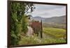 Italy, Radda in Chianti, Tuscany, A Path to the Hills, Villa Campomaggio-Hollice Looney-Framed Photographic Print