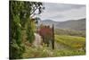 Italy, Radda in Chianti, Tuscany, A Path to the Hills, Villa Campomaggio-Hollice Looney-Stretched Canvas