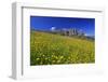 Italy, Region Trentino South Tirol, the Dolomites, Seiser Alp, View About the Seiser Alp on the Sch-Bernd Rommelt-Framed Photographic Print