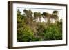 Italy, Riserva Naturale di Massaciuccoli San Rossore, protected forest in Tuscany. Winter views.-Michele Molinari-Framed Photographic Print