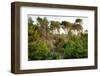 Italy, Riserva Naturale di Massaciuccoli San Rossore, protected forest in Tuscany. Winter views.-Michele Molinari-Framed Photographic Print