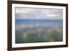 Italy, Riserva Naturale di Massaciuccoli San Rossore, protected  forest in Tuscany. Winter views.-Michele Molinari-Framed Photographic Print