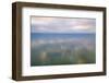 Italy, Riserva Naturale di Massaciuccoli San Rossore, protected  forest in Tuscany. Winter views.-Michele Molinari-Framed Photographic Print